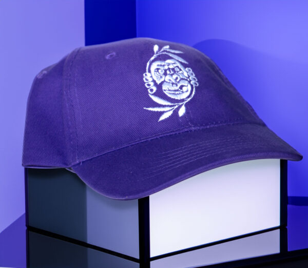 Casquette Violette